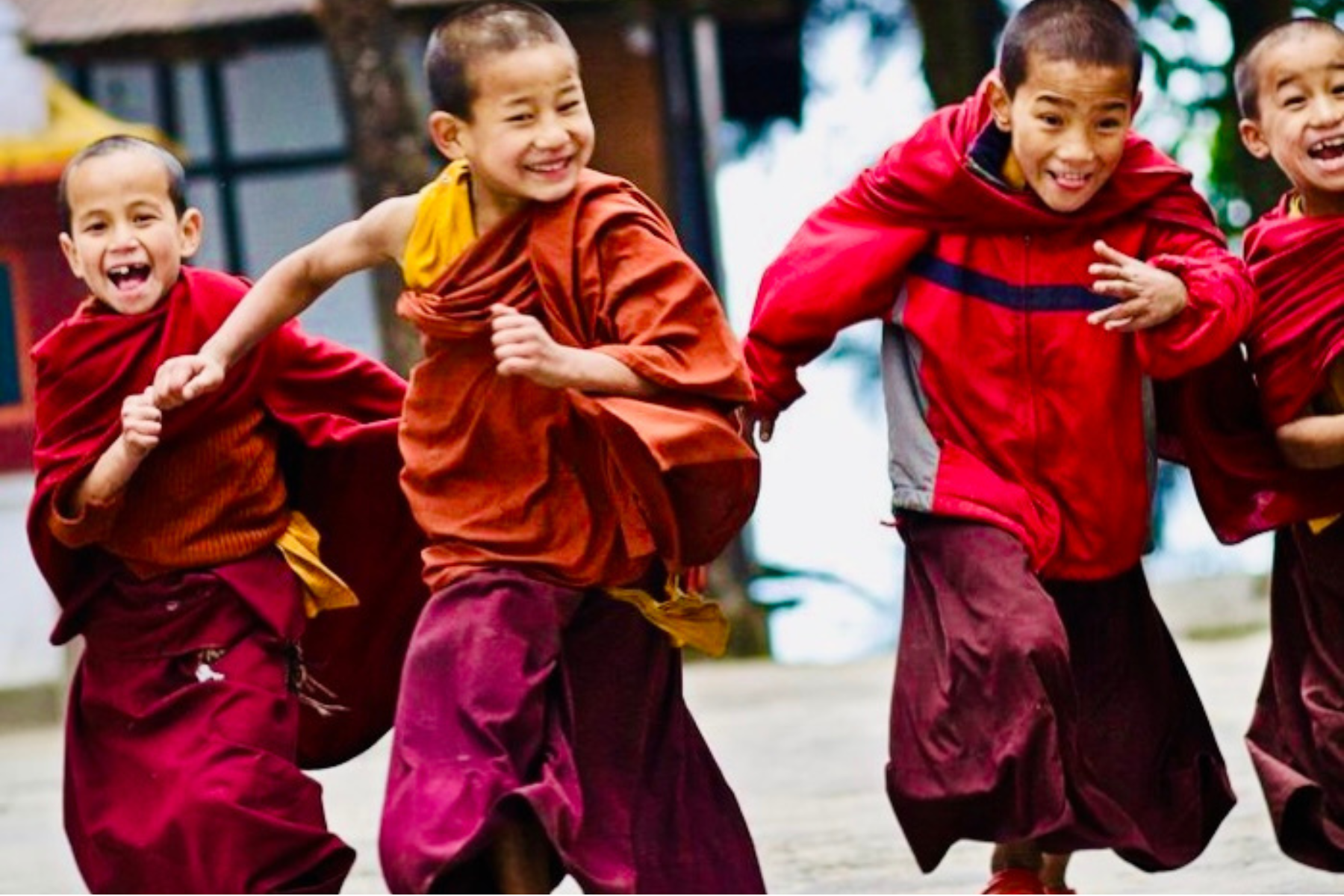 Dharma: More Than Just Words